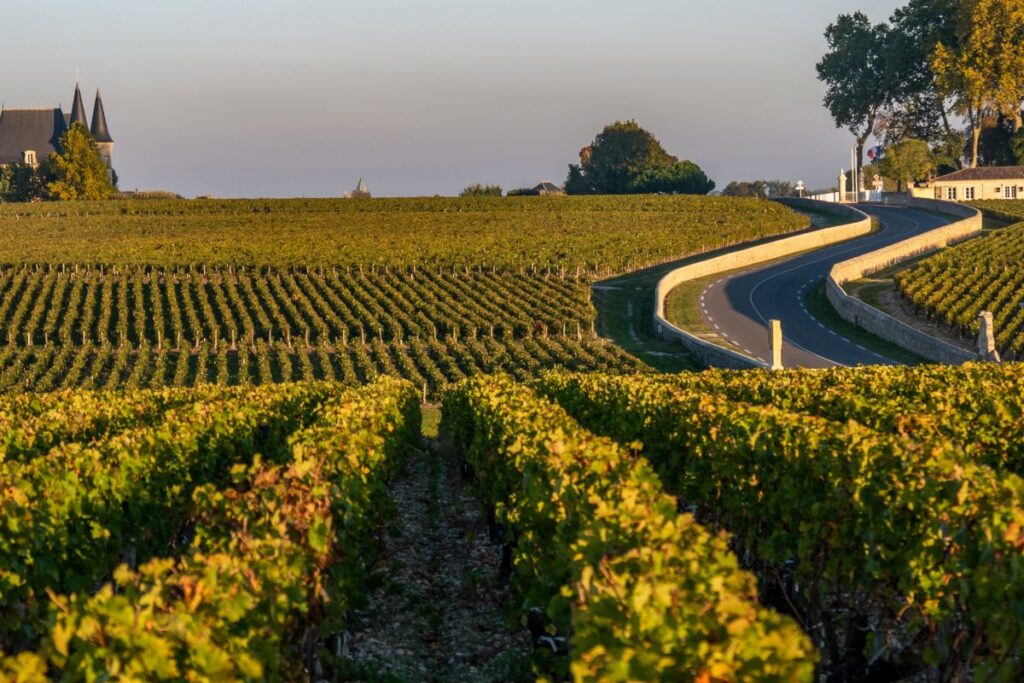 Medob Vineyards of Bordeaux
